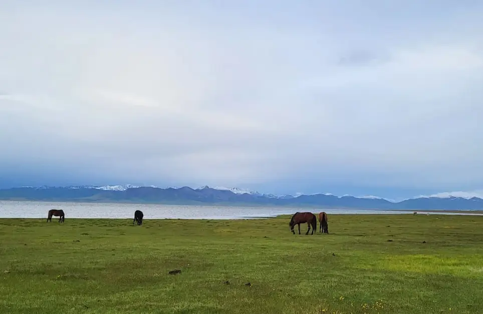 Yurts and open pasture around Song Kul Lake