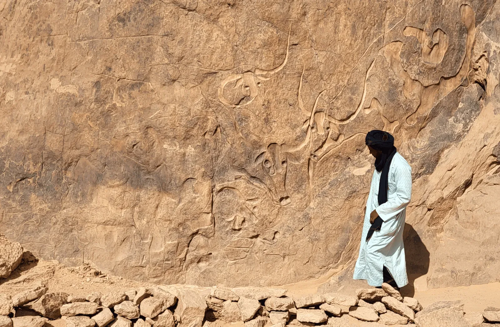 Algeria desert expedition gallery image 2