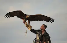 Traditional eagle hunting demonstration in Kyrgyzstan