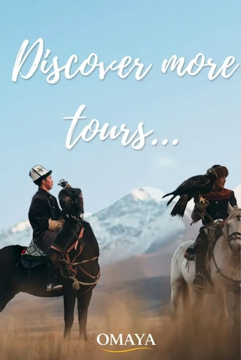 Discover more tours