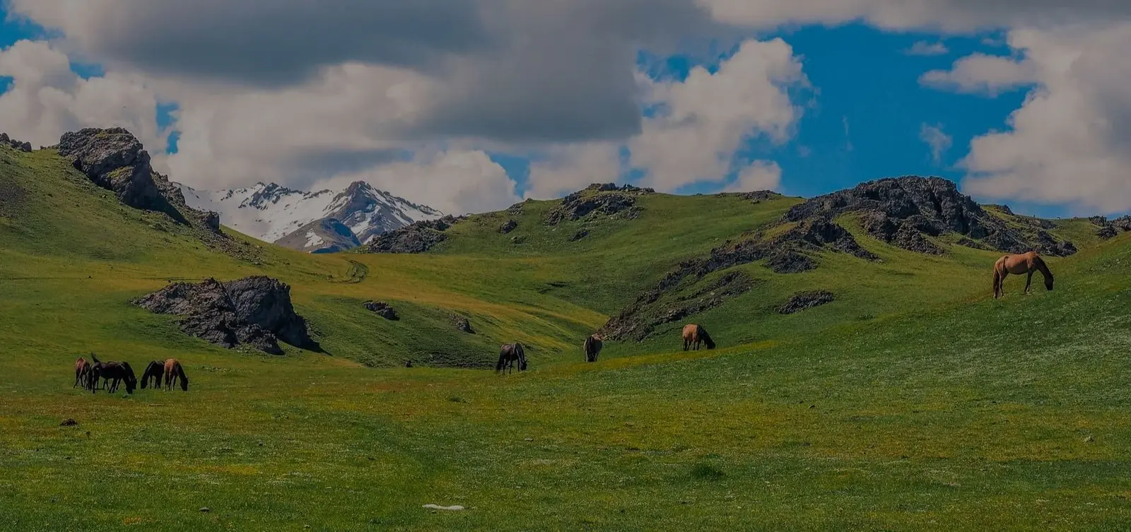 Women-only tour group in Kyrgyzstan mountain landscape